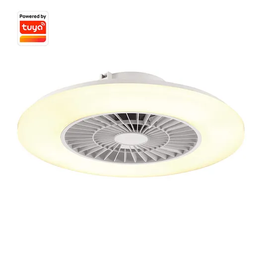 Home Use Decoration Wall Mounted Reversible Motor LED Ceiling Fan with LED Lightings 